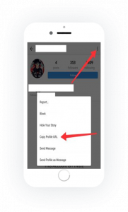 Private instagram Account Status - Copy Link Use Web Viewer