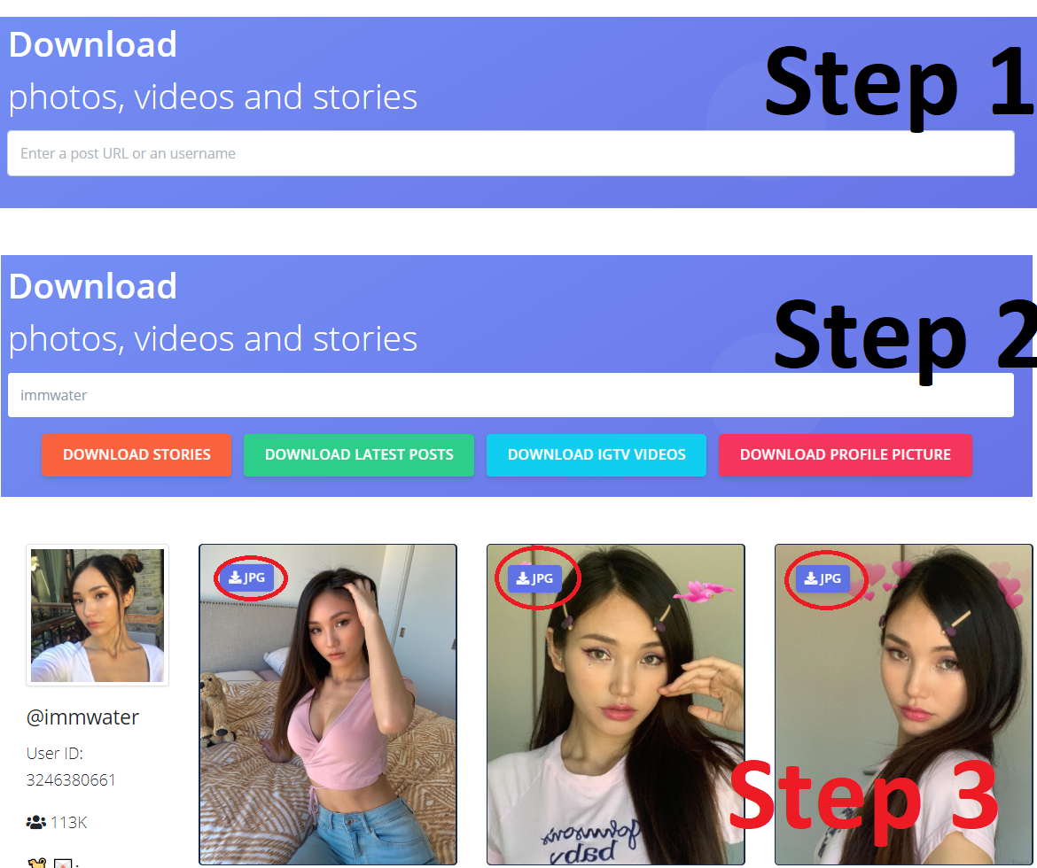 Instagram Image Video Downloader